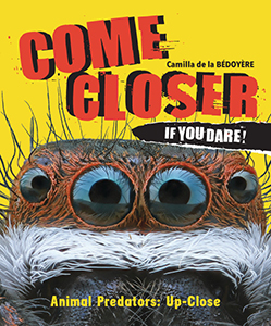 Cover Art for Come Closer If You Dare!: Animal Predators Up Close