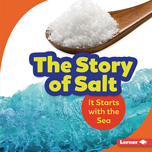 Cover Art for The Story of Salt: It Starts with the Sea