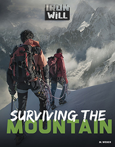 Cover Art for Surviving the Mountain