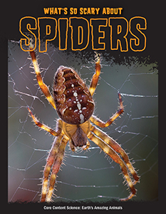 Cover Art for What's So Scary About Spiders?